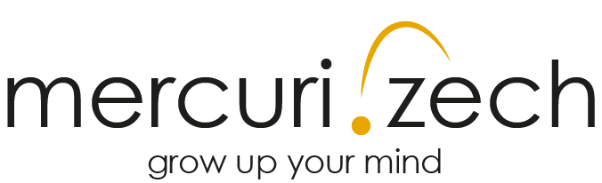 Mercuri-Zech Consulting GmbH